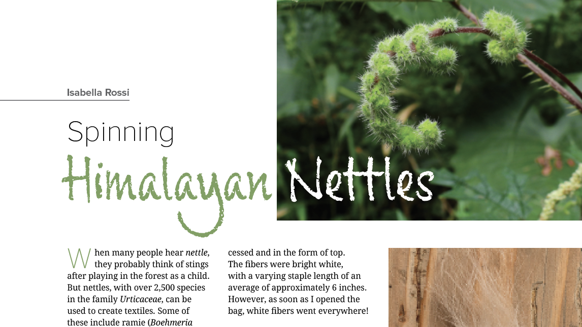 Spinning Himalayan Nettles (PLY Autumn 2025)