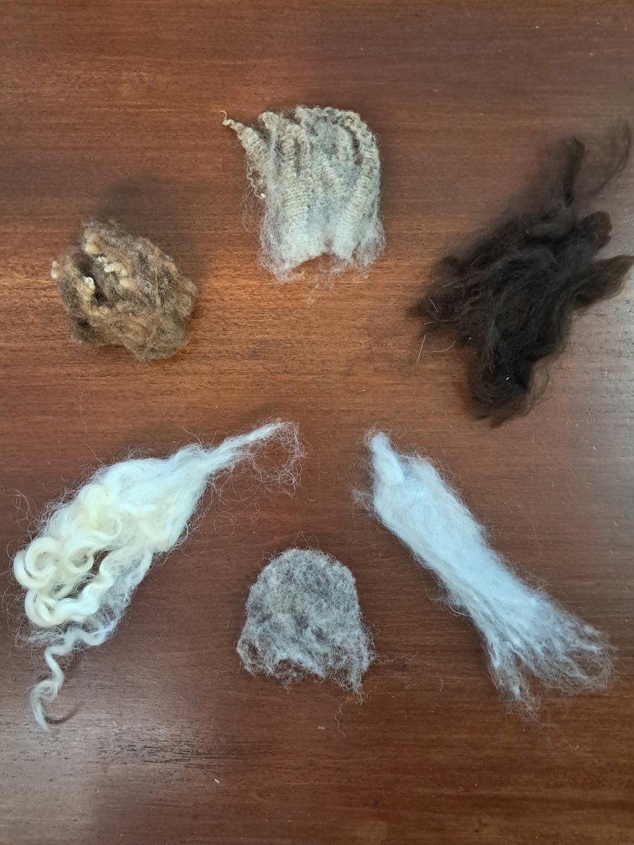 Woolly Good Gathering 2026