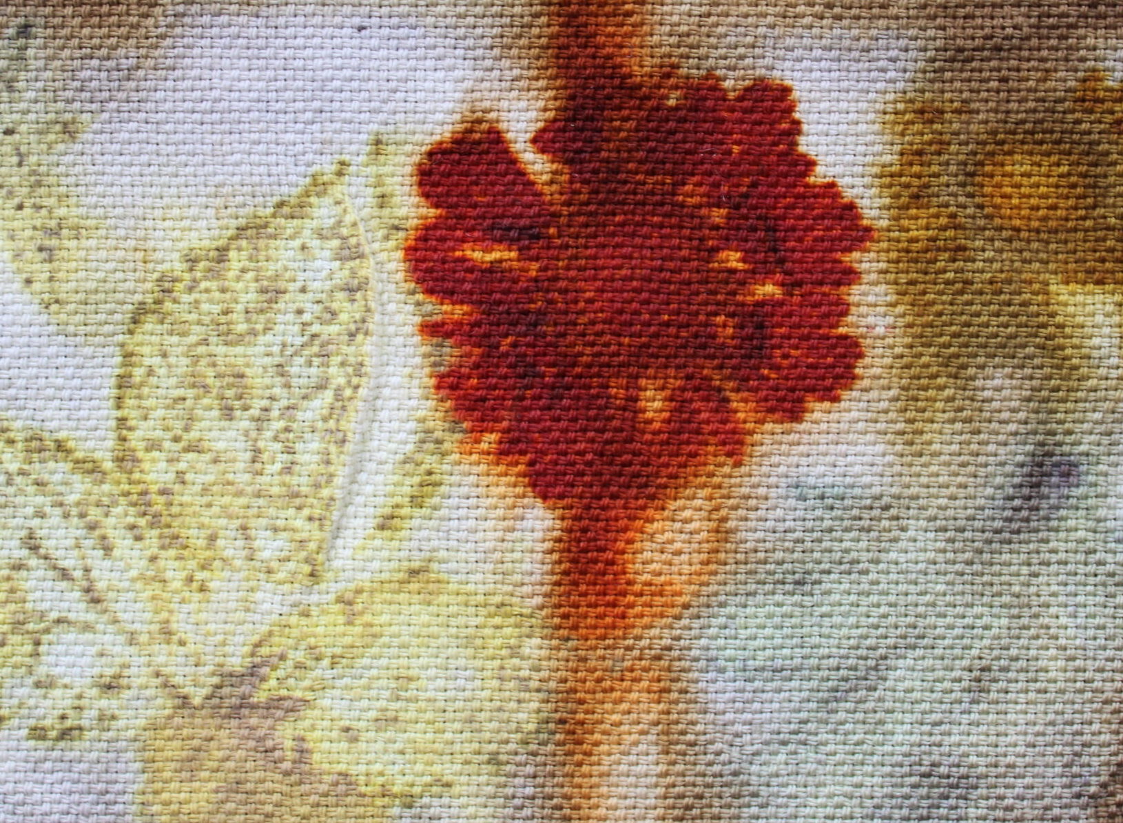 Contain Yourself: Growing Dye Plants Without a Garden (Spin Off Web)